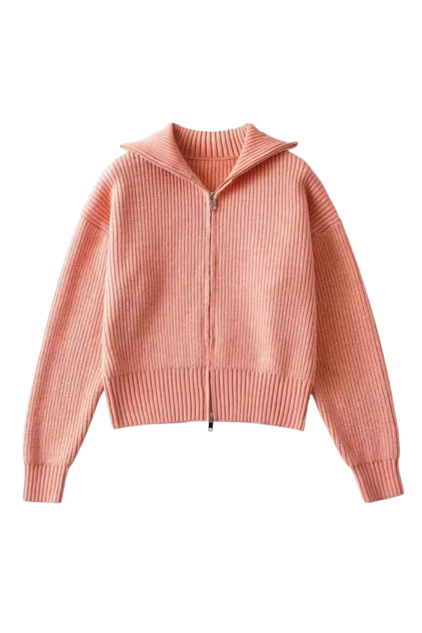Collared Long-Sleeve Knitted Sweater (2 Colors)